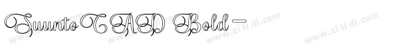 SuuntoCAD Bold字体转换
